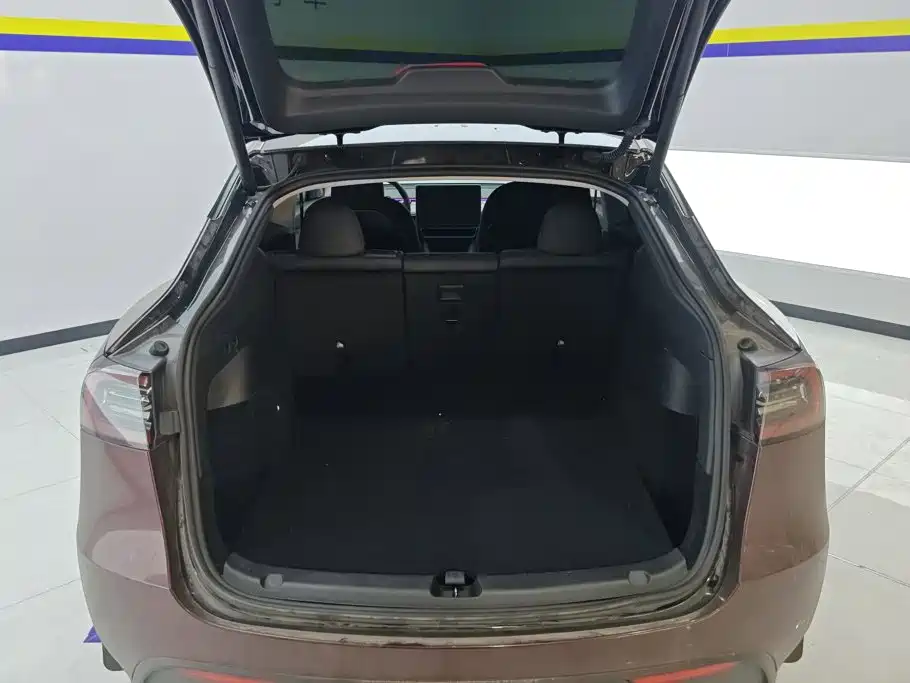Tesla Model Y — миниатюра 4