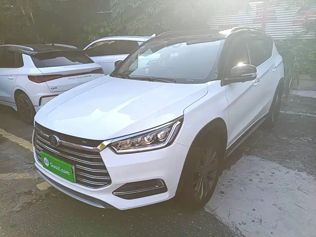 BYD New Energy — миниатюра 2