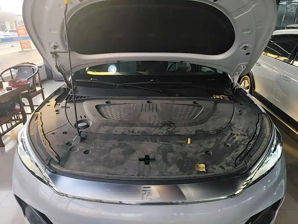 BYD Yuan Plus — миниатюра 20