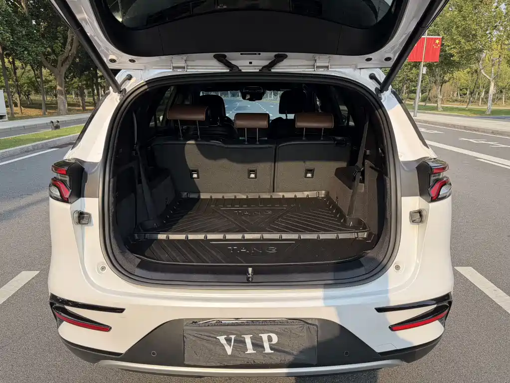 BYD Tang New Energy — миниатюра 9