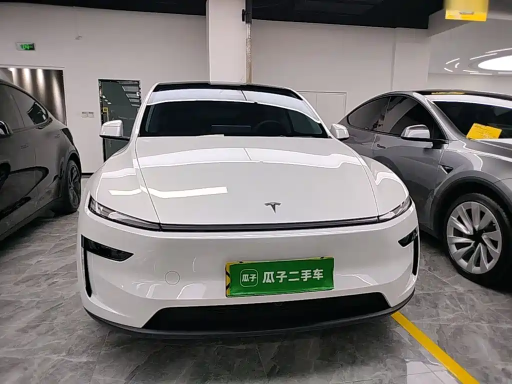 Tesla Model Y — миниатюра 3
