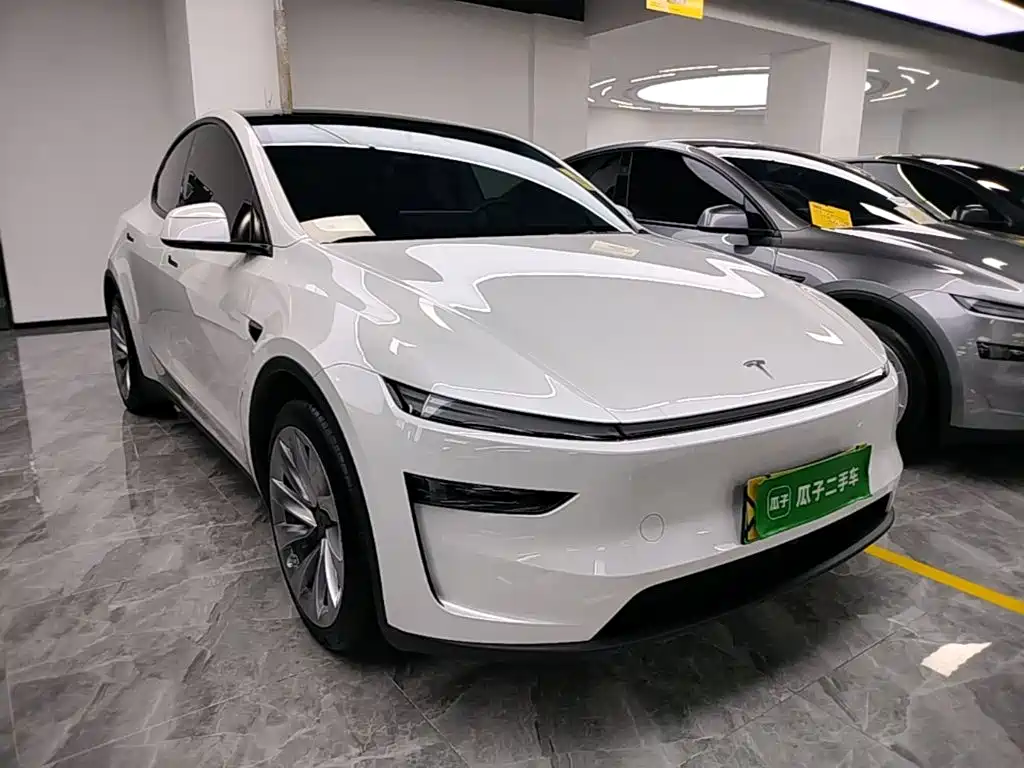 Tesla Model Y — миниатюра 4