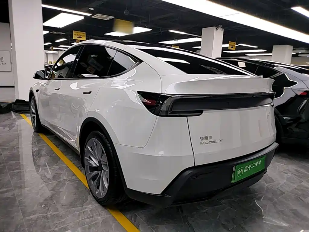 Tesla Model Y — миниатюра 5
