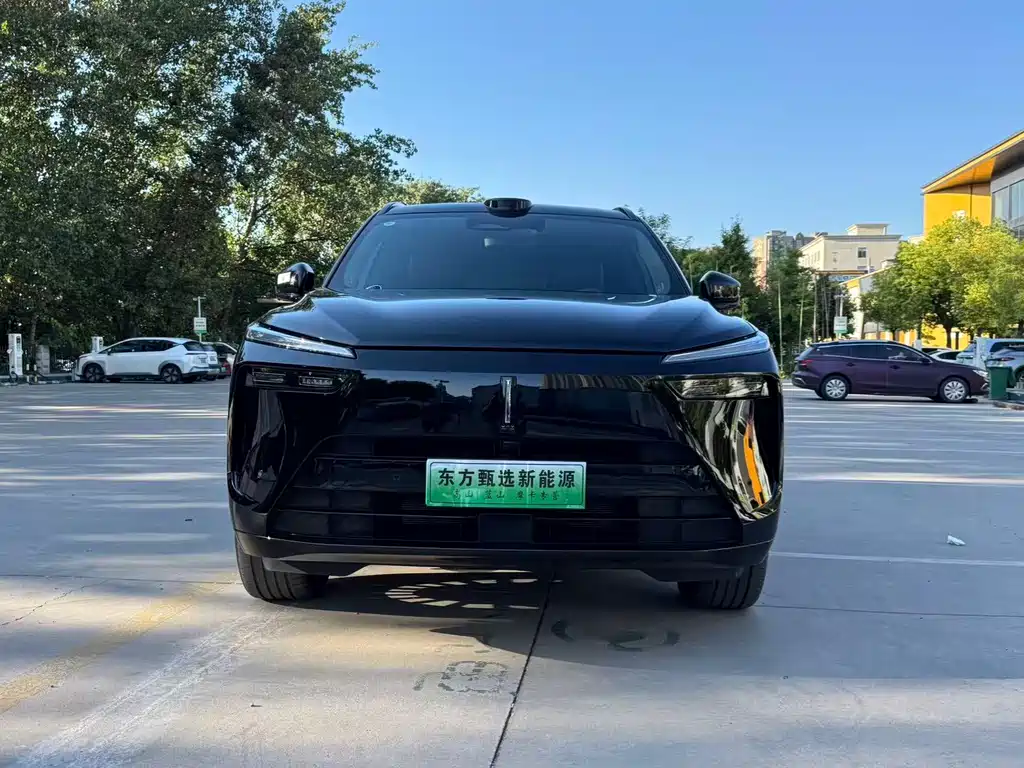 Wey Wey Lanshan — миниатюра 2
