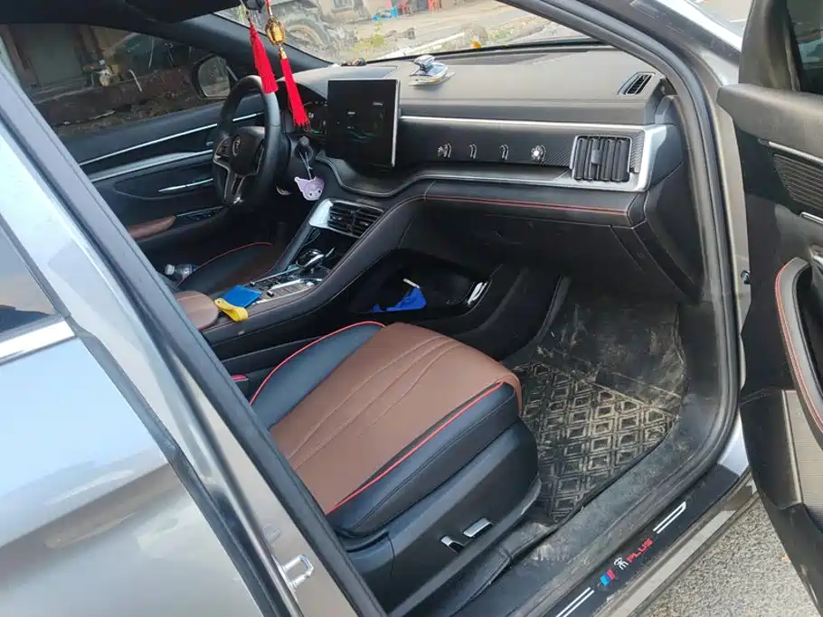 BYD PLUS — миниатюра 8