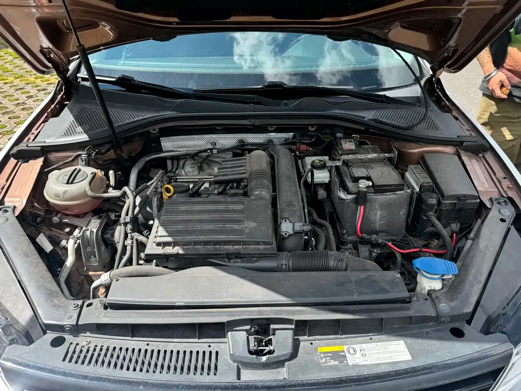 Volkswagen Lamando — миниатюра 13