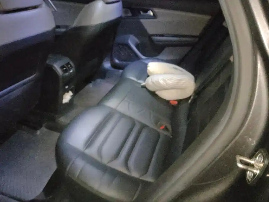 Citroen C5 X — миниатюра 11