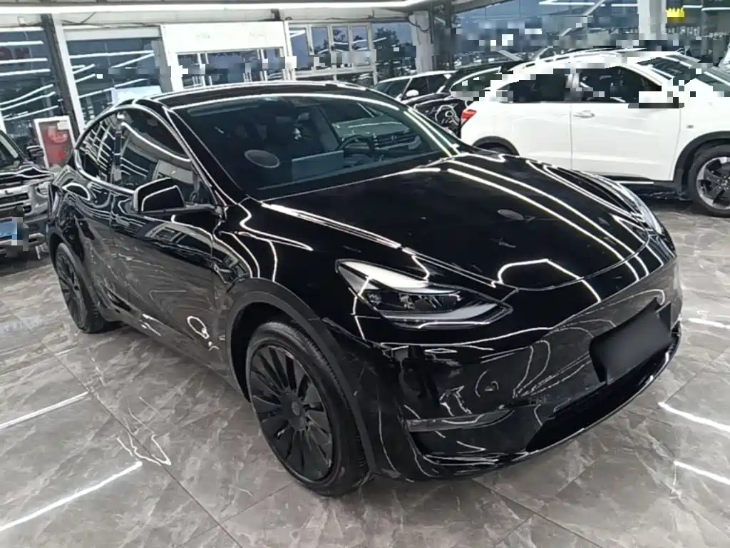 Tesla Model Y — миниатюра 4