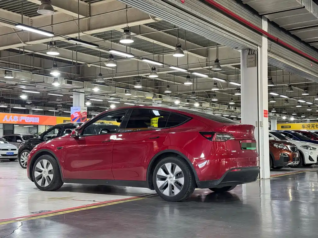 Tesla Model Y — миниатюра 5
