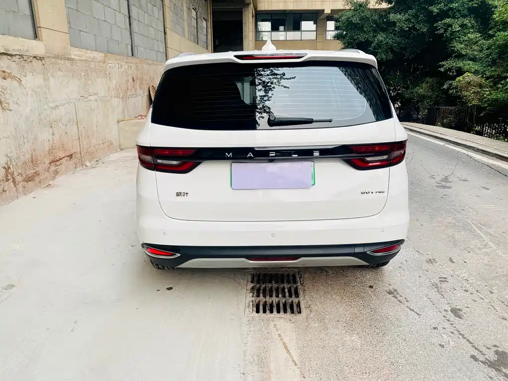 RUILAN AUTOMOBILE MAPLE LEAF 80V PRO