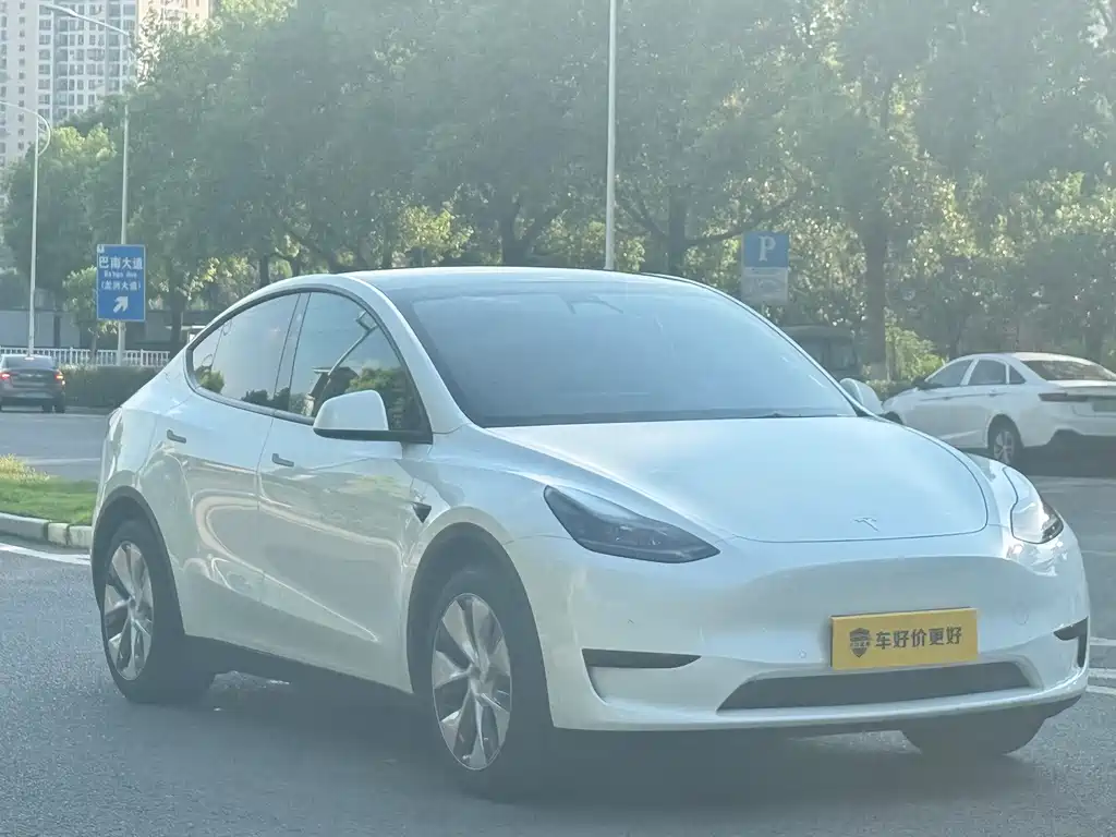 Tesla Model Y — миниатюра 3