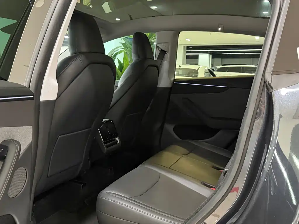 Tesla Model Y — миниатюра 5