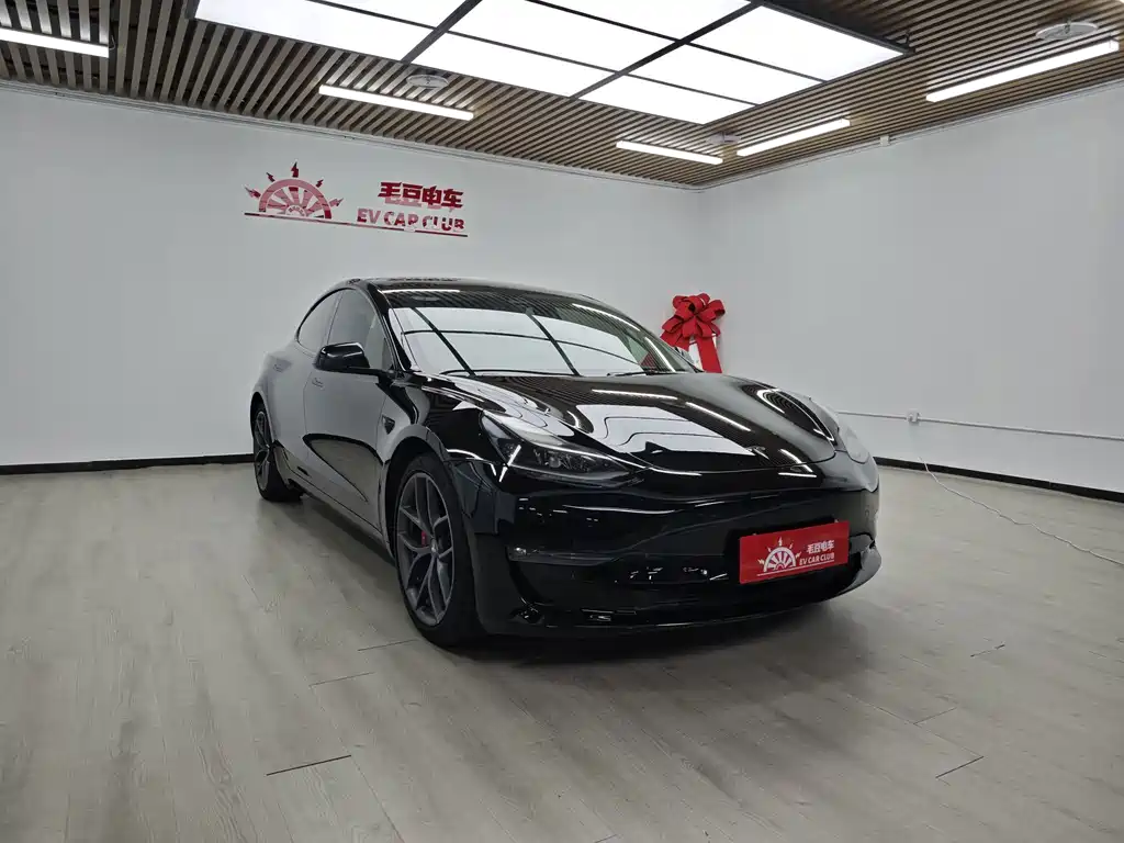 Tesla Model 3 — миниатюра 2