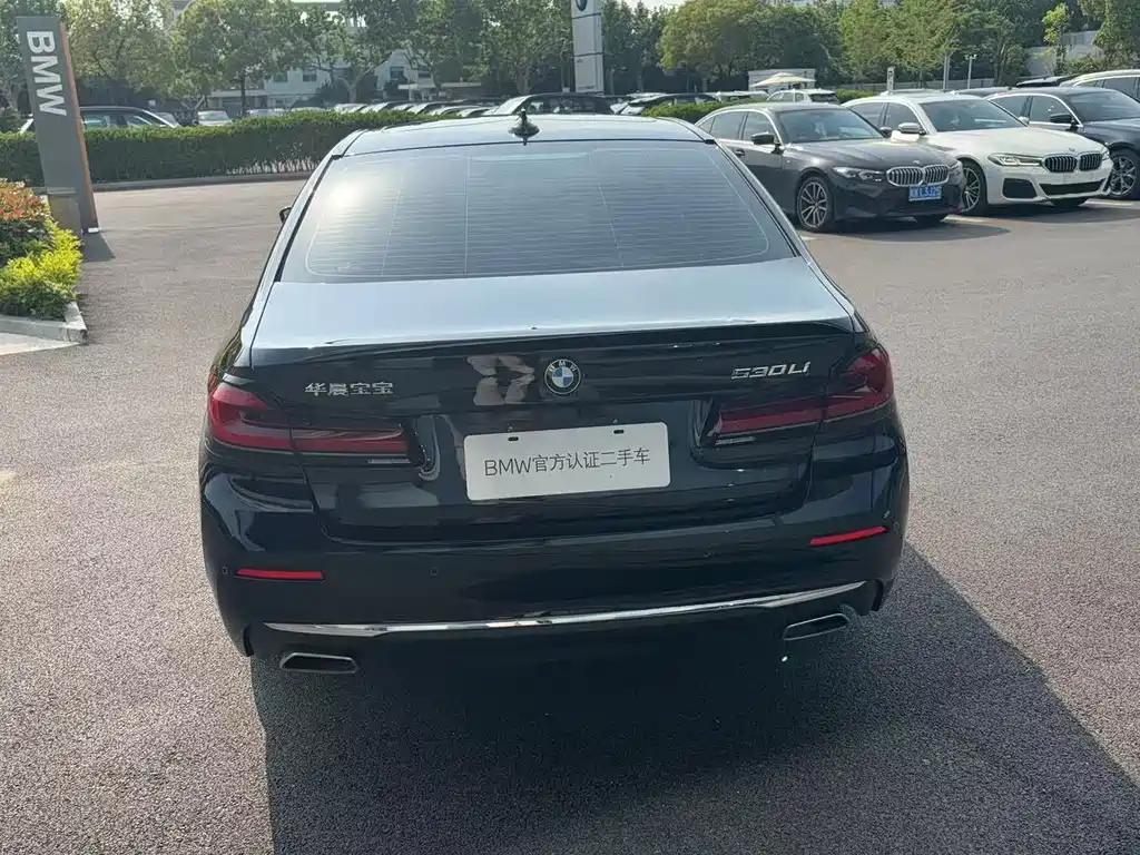 BMW 5 Series 5 2021 530Li Lead Luxury