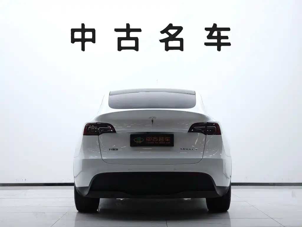 Tesla Model Y — миниатюра 5