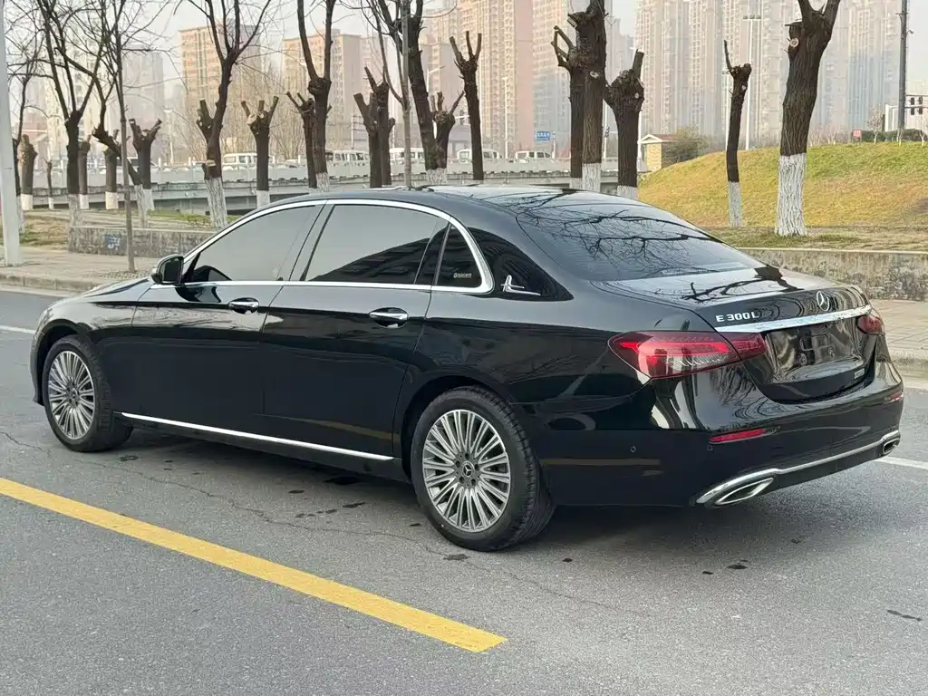 Mercedes-Benz E-Class E 2021 E 300 L Luxury