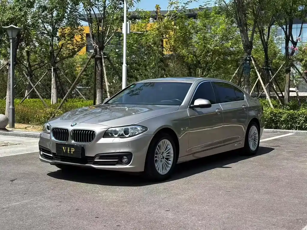 BMW 5 Series 2013