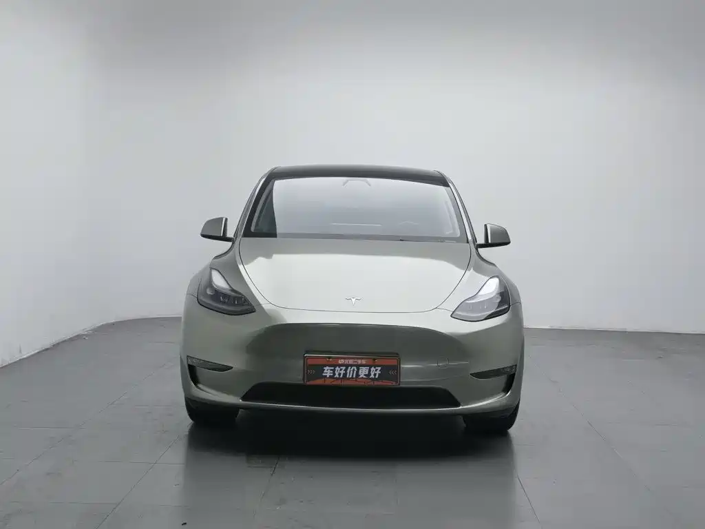 Tesla Model Y — миниатюра 3
