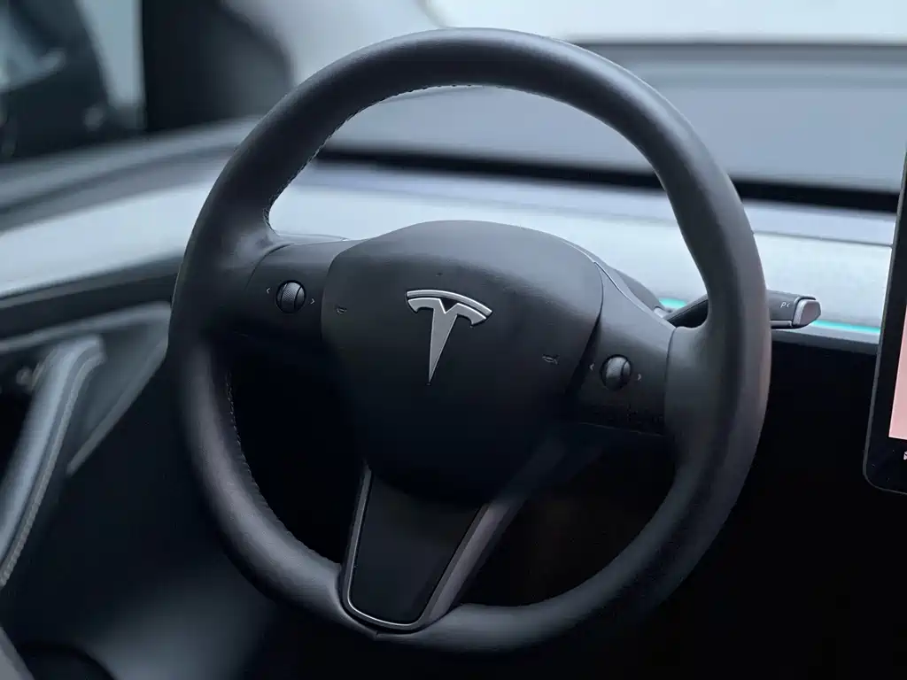 Tesla Model Y — миниатюра 8