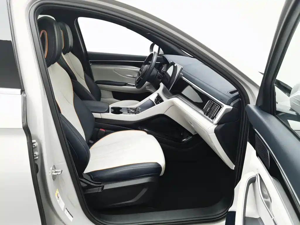 BYD PLUS New Energy — миниатюра 23