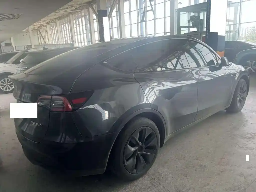 Tesla Model Y — миниатюра 2