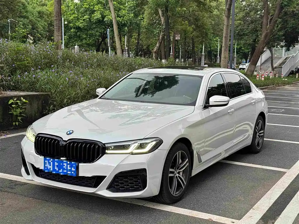 BMW 5 Series — миниатюра 2