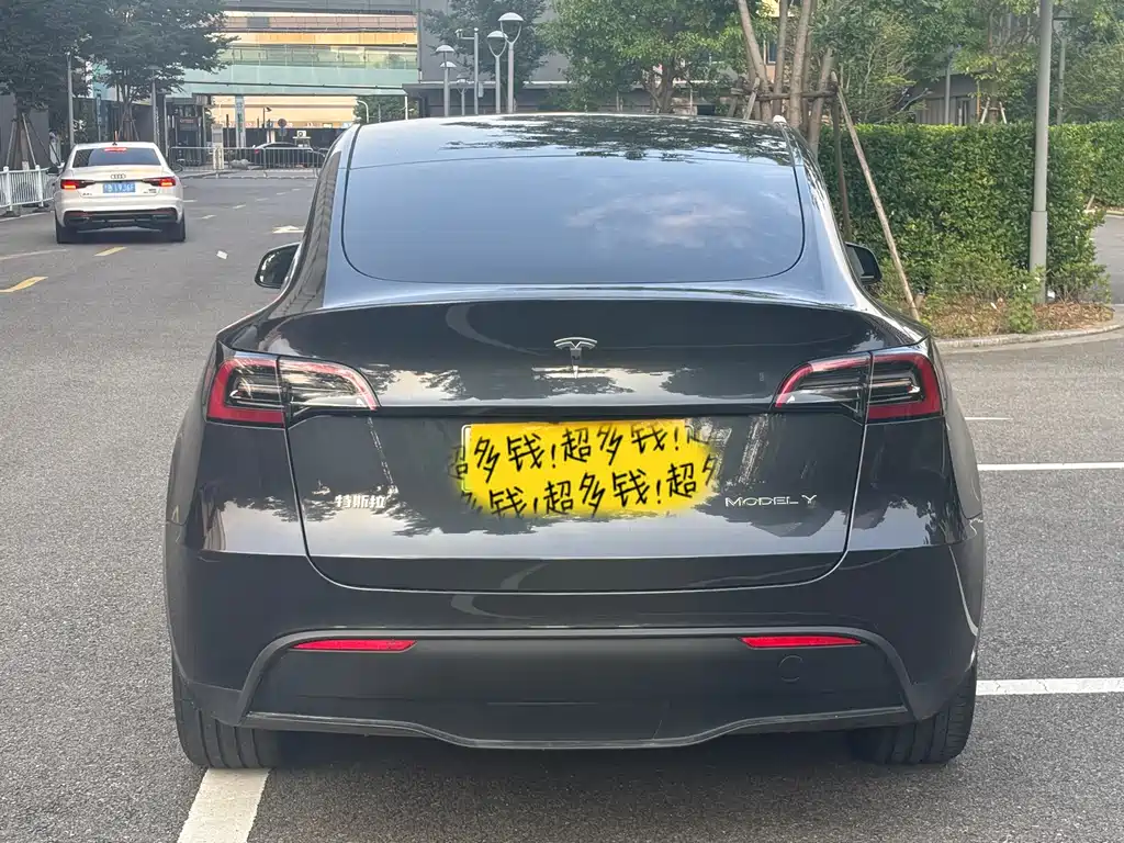 Tesla Model Y — миниатюра 20