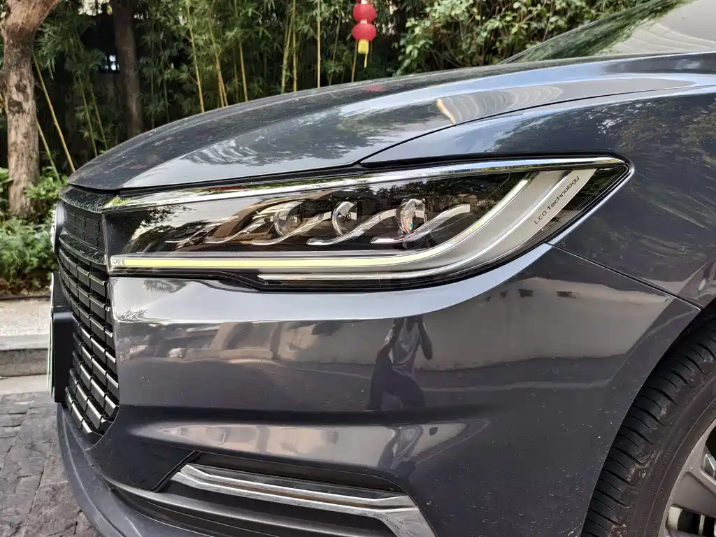 BYD Qin NEV 2019 Luxury