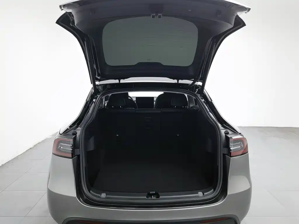 Tesla Model Y — миниатюра 16