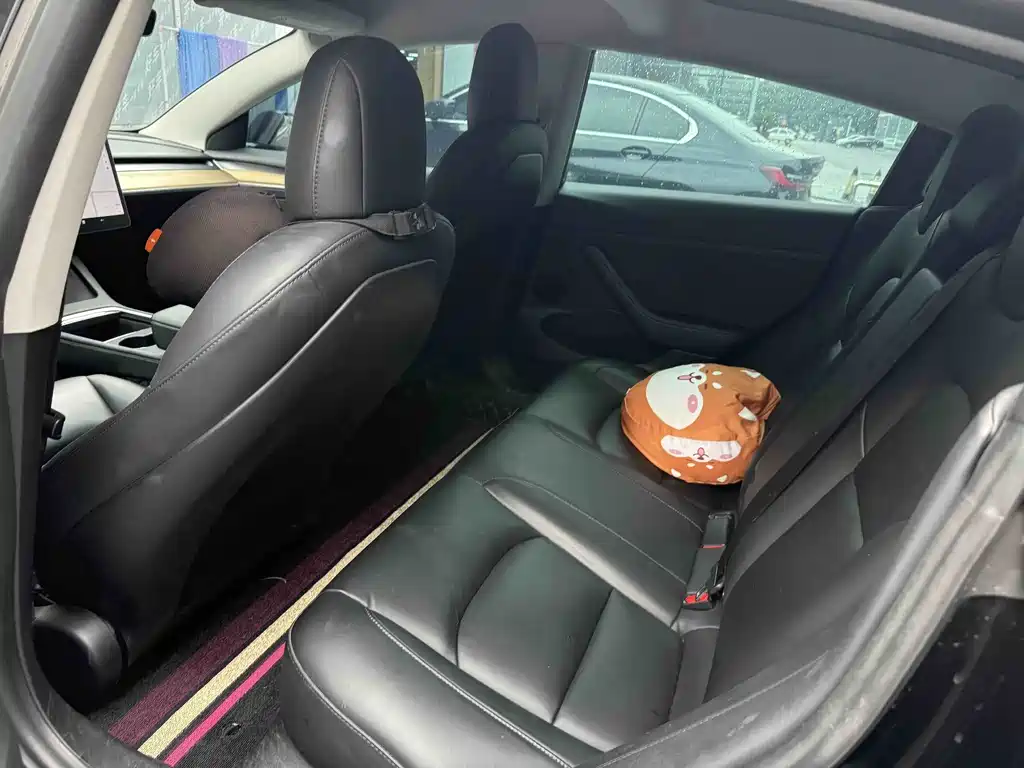 Tesla Model 3 2021 3D6