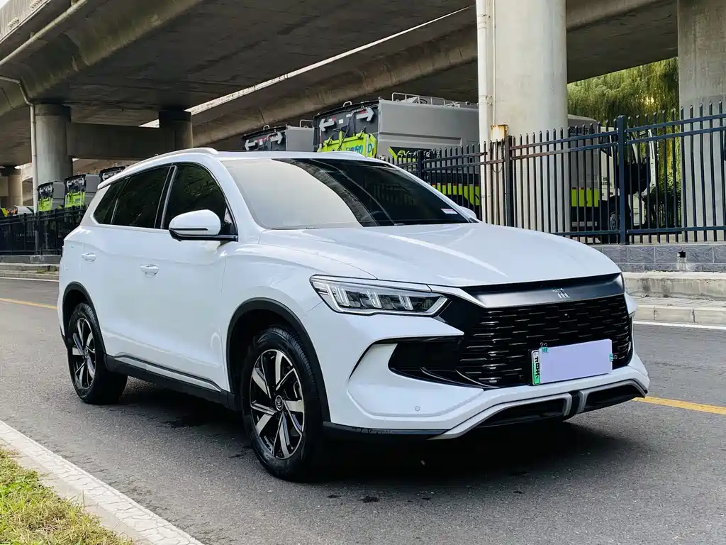 BYD Pro New Energy — миниатюра 2