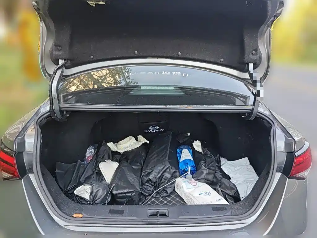 Nissan Sylphy — миниатюра 15