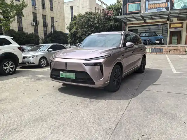 WEI PAI WEI BRAND BLUE MOUNTAIN 2024