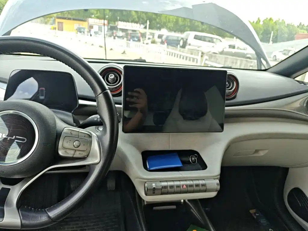 BYD Dolphin 2021 405km Freedom
