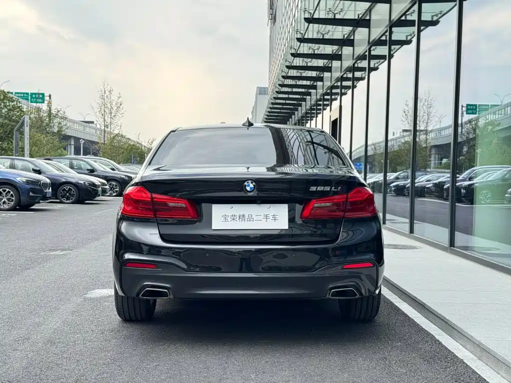 BMW 5 Series — миниатюра 4
