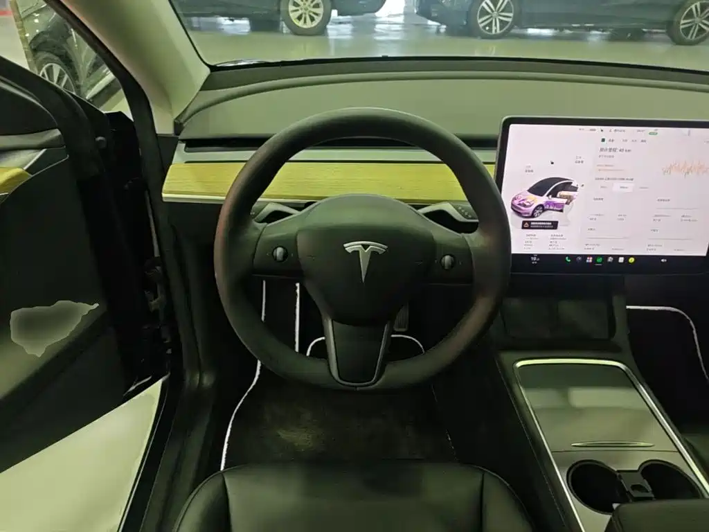 Tesla Model Y — миниатюра 11