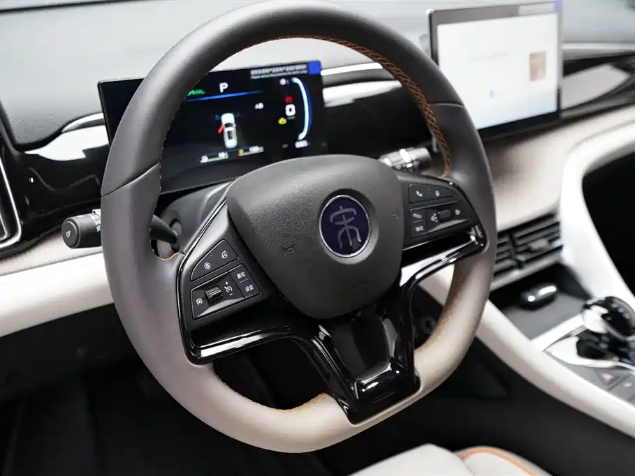 BYD Pro New Energy - фото 7