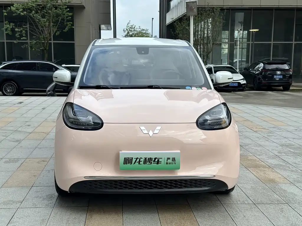Wuling Binguo 2023 333km +