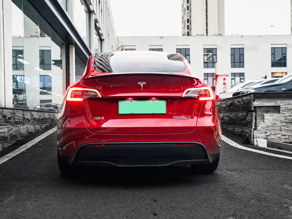 Tesla Model Y — миниатюра 10