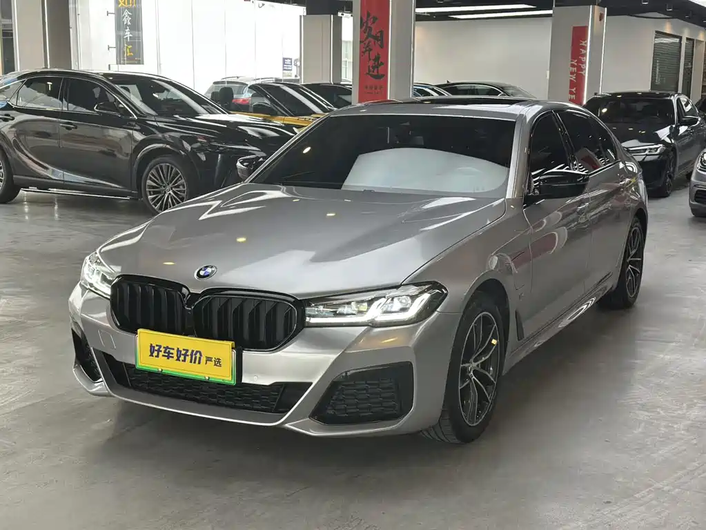 BMW 5 Series New Energy 2023