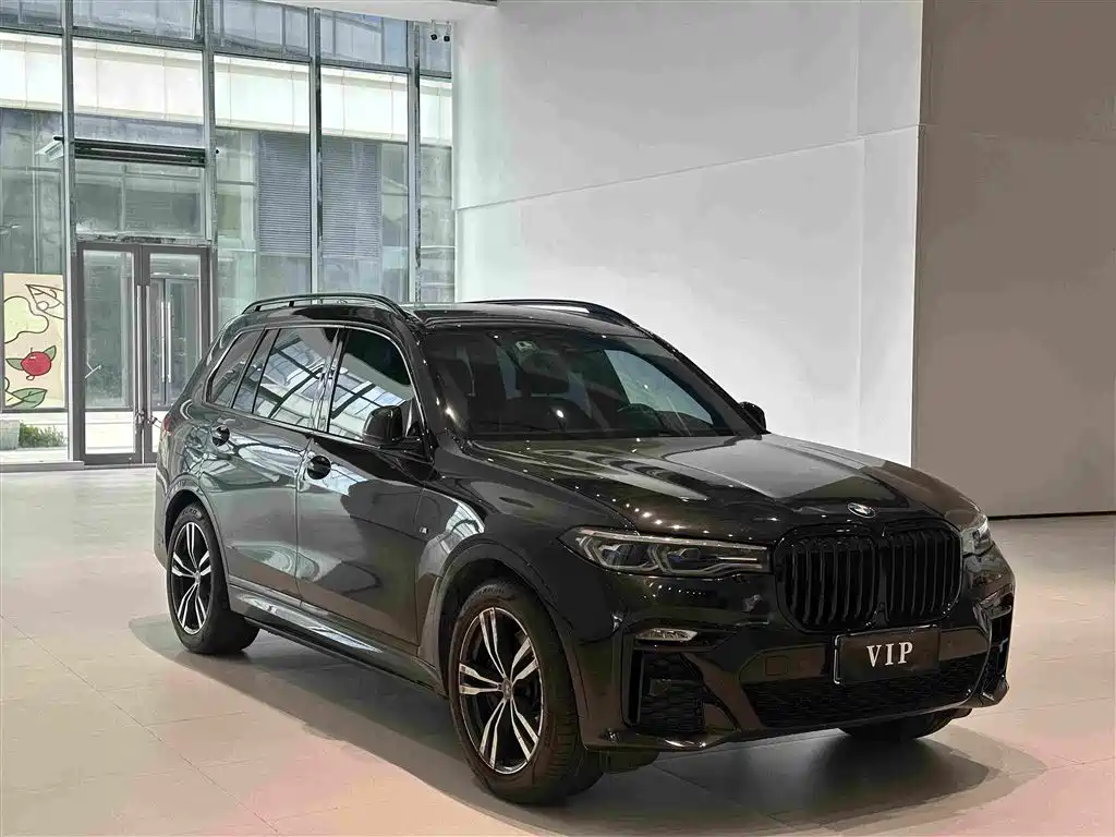 BMW X7 — миниатюра 3