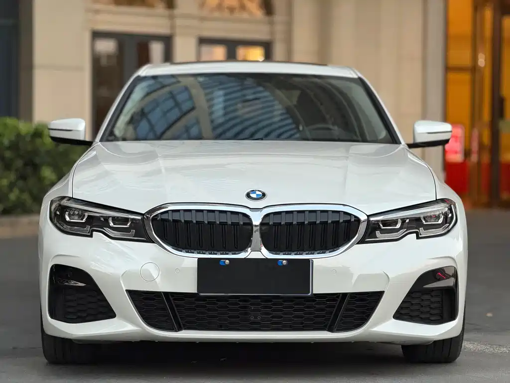 BMW 3 Series 3 2020 325Li