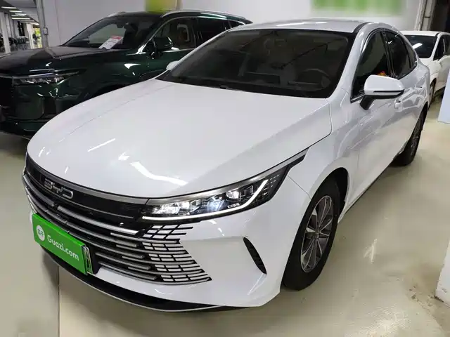 2024 BYD Destroyer