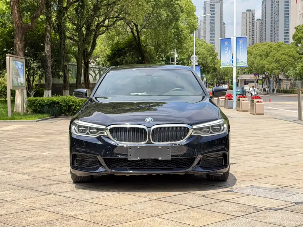 BMW 5 Series 5 2020 530Li xDrive M Sport