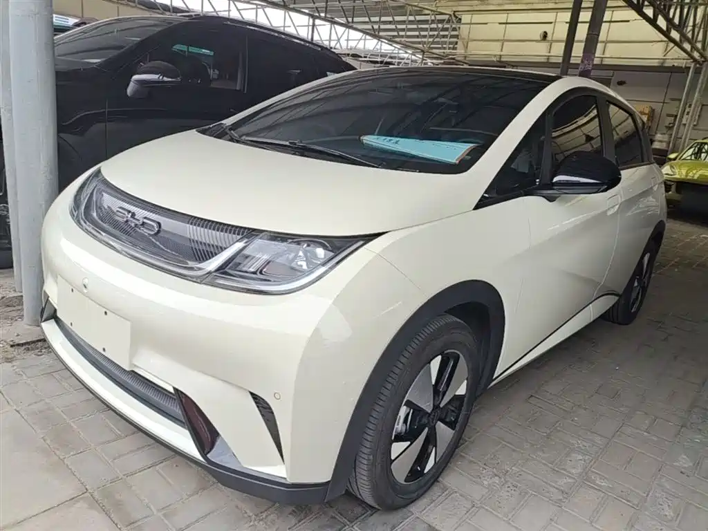 Byd Dolphin 2024