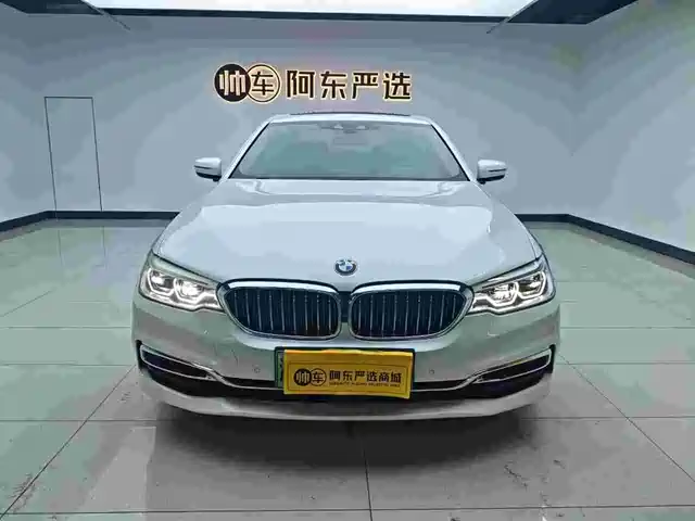 BMW 5 SERIES NEW ENERGY 2020