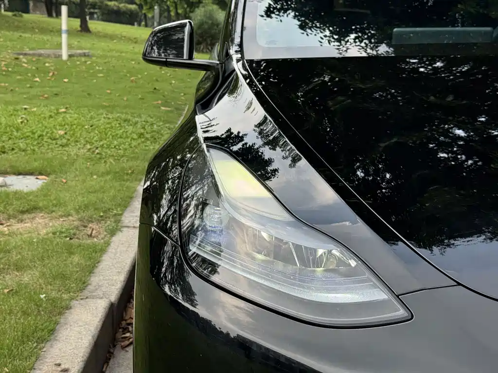 Tesla Model Y — миниатюра 19