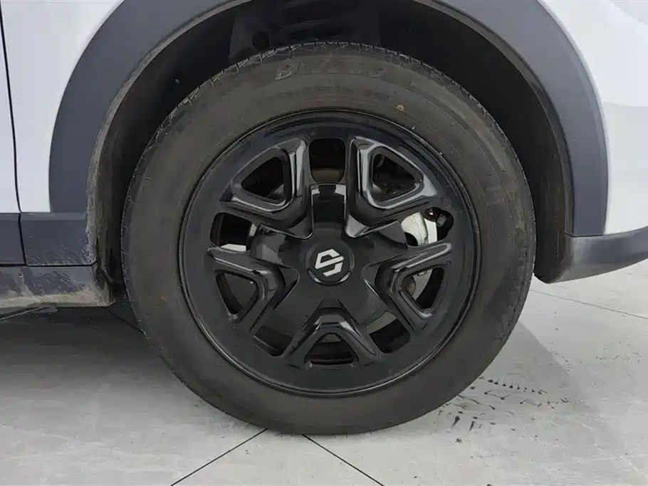 Leapmotor T03 2025 310
