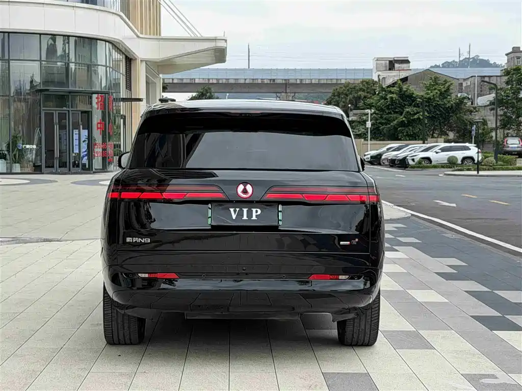 Denza N9