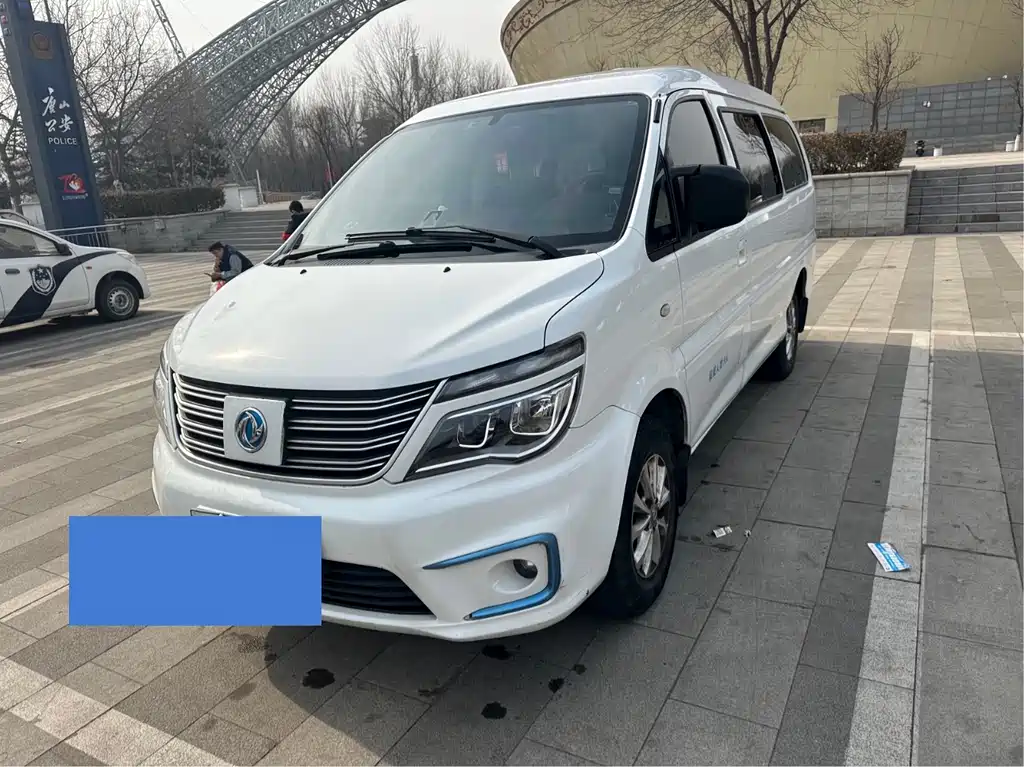 DONGFENG LINGZHI NEW ENERGY